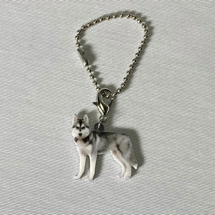 楽天市場 シベリアンハスキー キーホルダー チャーム ハスキーグッズ バッグチェーン マスクチャーム アクリル 犬 いぬ イヌ Dog 犬種別 犬雑貨 オーナーグッズ かわいい 輸入 キーチェーン プリント 送料無料 敬老の日 犬と動物 トラストワンポイント