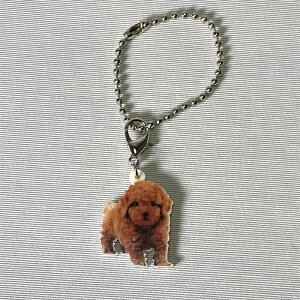 v[hyL[z_[ `[ zAvRbg v[hObY obO`F[ }XN`[ AN   Ck dog  G I[i[ObY 킢 A L[`F[ v