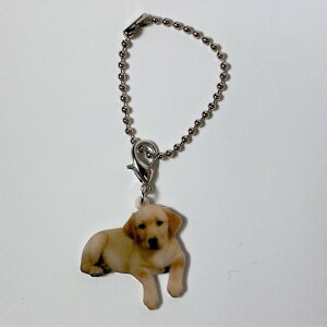 uh[go[yL[z_[ `[ z CG[u uh[g[o[ObY obO`F[ }XN`[ AN   Ck dog  G I[i[Ob