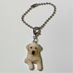 uh[go[yL[z_[ `[ z CG[u uh[g[o[ObY obO`F[ }XN`[ AN   Ck dog  G I[i[Ob