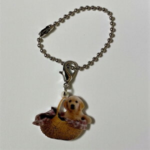 S[fgo[yL[z_[ `[ z ps[ S[fg[o[ObY obO`F[ }XN`[ AN   Ck dog  G I[i[ObY 킢 