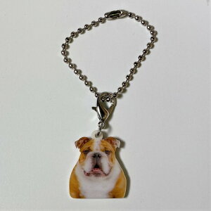 uhbOyL[z_[ `[ zuhbOObY obO`F[ }XN`[ AN   Ck dog  G I[i[ObY 킢 A L[`F[ vg 