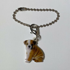 uhbOyL[z_[ `[ zps[ uhbOObY obO`F[ }XN`[ AN   Ck dog  G I[i[ObY 킢 A L[`F[ v