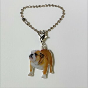 uhbOyL[z_[ `[ z uhbOObY obO`F[ }XN`[ AN   Ck dog  G I[i[ObY 킢 A L[`F[ vg 