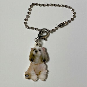 V[Y[yL[z_[ `[ zV[YObY obO`F[ }XN`[ AN   Ck dog  G I[i[ObY 킢 A L[`F[ vg 