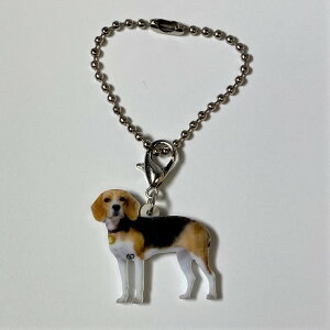 r[OyL[z_[ `[ zps[ r[OObY obO`F[ }XN`[ AN   Ck dog  G I[i[ObY 킢 A L[`F[ vg 