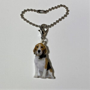 r[OyL[z_[ `[ zps[ r[OObY obO`F[ }XN`[ AN   Ck dog  G I[i[ObY 킢 A L[`F[ vg 