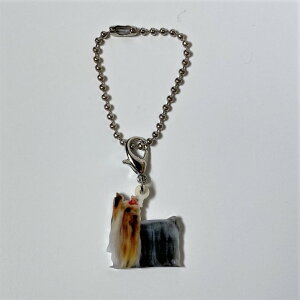 [NV[eAyL[z_[ `[ z[L[ObY obO`F[ }XN`[ AN   Ck dog  G I[i[ObY 킢 A L[`F[ v