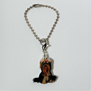 [NV[eAyL[z_[ `[ z[L[ObY obO`F[ }XN`[ AN   Ck dog  G I[i[ObY 킢 A L[`F[ v