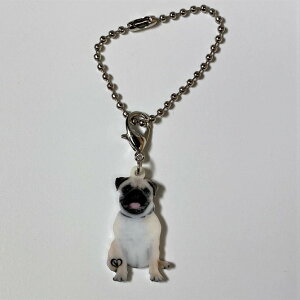 pOyL[z_[ `[ zps[ pOObY obO`F[ }XN`[ AN   Ck dog  G I[i[ObY 킢 A L[`F[ vg 