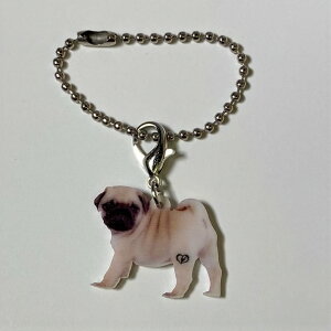 pOyL[z_[ `[ zps[ pOObY obO`F[ }XN`[ AN   Ck dog  G I[i[ObY 킢 A L[`F[ vg 