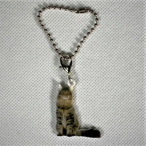 ˂ cat CN[yL[z_[ `[ zlRObY obO`F[ }XN`[ AN L Lbg Lg CAT L lRG I[i[ObY 킢 A L[`F[ 