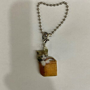 ˂ catyL[z_[ `[ zlRObY obO`F[ }XN`[ AN L Lbg Lg CAT L lRG Lbg I[i[ObY 킢 A L[`F[ v