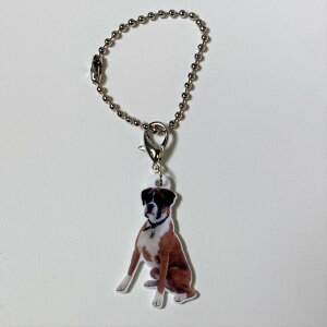 {NT[yL[z_[ `[ z {NT[ObY obO`F[ }XN`[ AN   Ck dog  G I[i[ObY 킢 A L[`F[ vg 