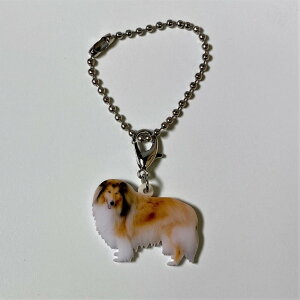 R[yL[z_[ `[ z R[ObY obO`F[ }XN`[ AN   Ck dog  G I[i[ObY 킢 A L[`F[ vg 