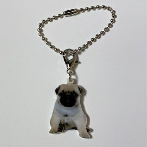 pOyL[z_[ `[ zps[ pOObY obO`F[ }XN`[ AN   Ck dog  G I[i[ObY 킢 A L[`F[ vg 