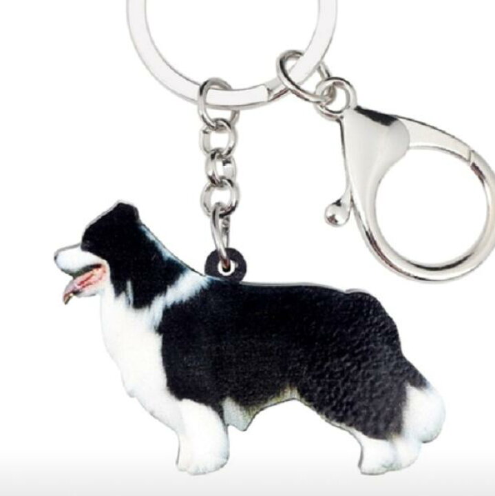 楽天市場 メール便送料無料 ボーダーコリー キーホルダー ボーダーグッズ アクリル 犬 いぬ イヌ Dog 犬種別 犬雑貨 オーナーグッズ かわいい 輸入 キーチェーン プリント 敬老の日 犬と動物 トラストワンポイント