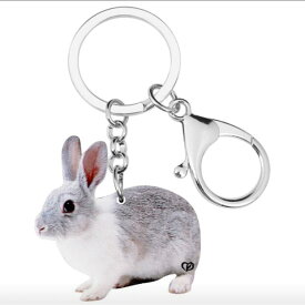 【メール便送料無料】ウサギ ラビット キーホルダー うさぎグッズ アクリル 兎雑貨 オーナーグッズ かわいい 輸入 キーチェーン プリント 母の日
