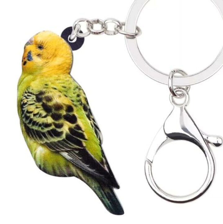 【メール便送料無料】セキセイインコ キーホルダー インコグッズ インコ オーム アクリル ことり トリ とり 鳥 バード bird 鳥雑貨 トリグッズ オーナーグッズ かわいい 輸入 キーチェーン プリント 敬老の日 犬と動物 トラストワンポイント G11★ハンドメイド★インコ★鳥★キーホルダー★