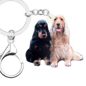 y[֑zCObVRbJXpjG CObVRbJ L[z_[ RbJObY AN   Ck dog  G I[i[ObY 킢 A L[`F