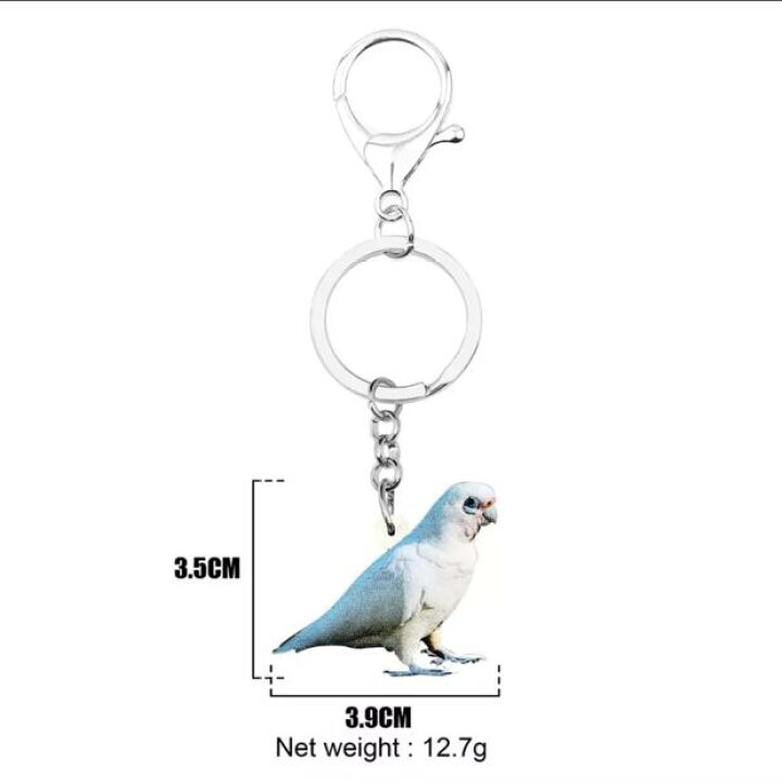 楽天市場 メール便送料無料 キーホルダー アカビタイムジオウム インコグッズ アクリル オウム トリ とり 鳥 バード Bird 鳥雑貨 オーナーグッズ かわいい 輸入 キーチェーン プリント 敬老の日 犬と動物 トラストワンポイント