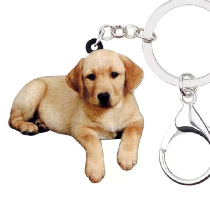 楽天市場 メール便送料無料 ラブラドールレトリーバー ラブラドールレトリバー イエロー パピー キーホルダー 犬グッズ アクリル 犬 いぬ イヌ Dog 犬種別 犬雑貨 オーナーグッズ かわいい 輸入 キーチェーン プリント 敬老の日 犬と動物 トラストワンポイント