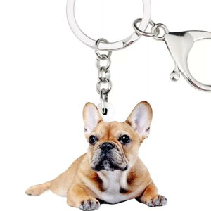 キーホルダー プリント その他犬用ペットグッズの人気商品 通販 価格比較 価格 Com キーホルダー プリント その他犬用ペットグッズの人気商品 通販 価格比較 価格 Com