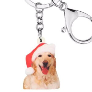 y[֑zS[fgo[ g[o[ L[z_[ S[fObY AN   Ck dog  G I[i[ObY 킢 A L[`F[   v