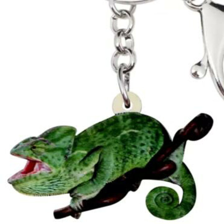 楽天市場 メール便送料無料 カメレオン キーホルダー カメレオングッズ 爬虫類 アクリル 野生動物 種別 アニマル雑貨 オーナーグッズ かわいい 輸入 キーチェーン プリント ギフト 敬老の日 犬と動物 トラストワンポイント