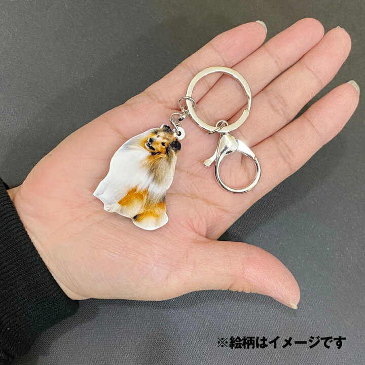 楽天市場 メール便送料無料 キーホルダー アカビタイムジオウム インコグッズ アクリル オウム トリ とり 鳥 バード Bird 鳥雑貨 オーナーグッズ かわいい 輸入 キーチェーン プリント 敬老の日 犬と動物 トラストワンポイント