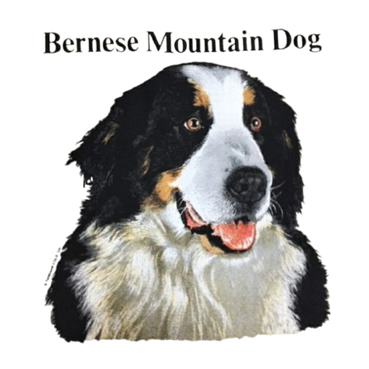 楽天市場 バーニーズ バーニーズマウンテンドッグ Tシャツ 半袖 カットソー 丸首型 クルーネック 90s Usa 直輸入柄 ビンテージ 綿100 コットン トップス 服 レディース メンズ シンプル かわいい おしゃれ イベント お揃い ドッグ 犬 犬柄 いぬ 犬プリント 犬種別 犬 楽天市場 バーニーズ バーニーズマウンテンドッグ Tシャツ 半袖 カットソー 丸首型 クルーネック 90s Usa 直輸入柄 ビンテージ 綿100 コットン トップス 服 レディース メンズ シンプル かわいい おしゃれ イベント お揃い ドッグ 犬 犬柄 いぬ 犬プリント 犬種別 犬