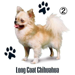 yIׂ`Az ` Gv obNNX X^ |  킢 Vv ۈm [NGv   hbO  Ck  I[i[ObY vg Mtg 