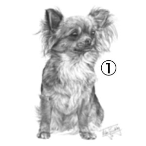 yIׂ`Bz ` Gv obNNX X^ |  tihouhou  킢 Vv ۈm [NGv   hbO  Ck  I[i[ObY v