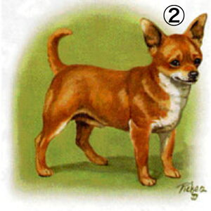 yIׂ`Bz ` Gv obNNX X^ |  tihouhou  킢 Vv ۈm [NGv   hbO  Ck  I[i[ObY v