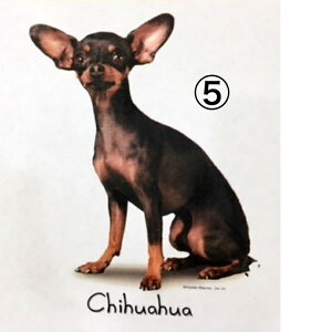 yIׂ`Bz ` Gv obNNX X^ |  tihouhou  킢 Vv ۈm [NGv   hbO  Ck  I[i[ObY v