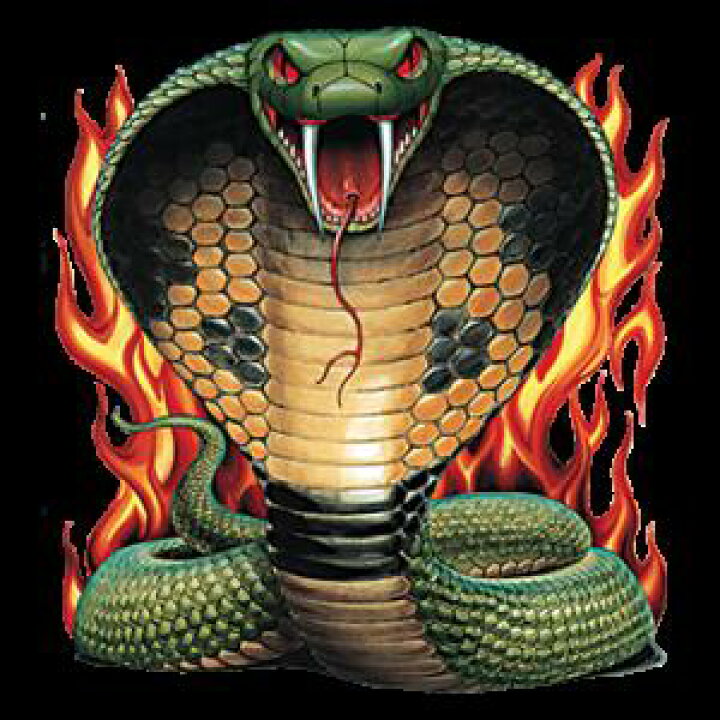 楽天市場 コブラ へび 蛇 ヘビ 爬虫類 カラー エプロン バッククロス X型 たすき掛け おしゃれ かわいい 保育士 ワークエプロン 料理教室 動物 オーナーグッズ プリント ギフト 記念品 犬雑貨 オフ会 ネコポス発送 敬老の日 犬と動物 トラストワンポイント