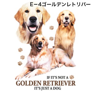 Iׂ^E {NT[ VFp[h h[x S[fgo[ R[ ueA nXL[ j[t@ 񂩂^Cv 킢 jp  DIY    vg  