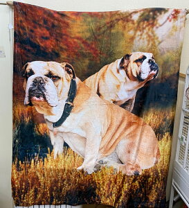 uhbO uPbg Ђ|  dog DOG ^ tvg vg 唻 g 킢 ӂӂ xbhJo[ AEghA \t@[Jo[ uhbOObY A 127cm@15