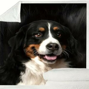 o[j[Y}EehbO uPbg TCY  dog DOG hbO Aj}  G tvg tl g 킢 ӂӂ Ђ| | xbhJo[ AEghA \