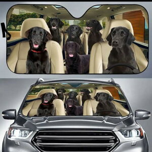 yz TVF[h tbgR[ebhgo[ g[o[    dog DOG ʔ 킢  ԑ悯  Ăh~ tgKX ՌfM O΍ UVJb