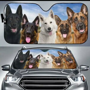 yz TVF[h W[}VFp[h F zCgVFp[h ubNVFp[h    dog DOG ʔ 킢  ԑ悯  Ăh~ tgKX ՌfM