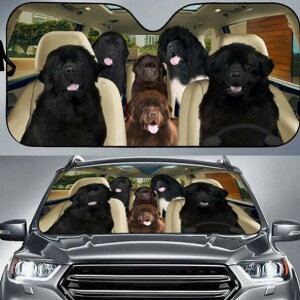 yz TVF[h j[t@hh A    dog DOG ʔ 킢  ԑ悯  Ăh~ tgKX ՌfM O΍ UVJbg ȒPt L