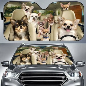  TVF[h ` B    dog DOG ʔ 킢  ԑ悯  Ăh~ tgKX ՌfM O΍ UVJbg ȒPt Lv ԓ J[pi ֗ 