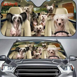 yz TVF[h `Cj[YNbZbh A    dog DOG ʔ 킢  ԑ悯  Ăh~ tgKX ՌfM O΍ UVJbg ȒPt 