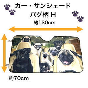 yz TVF[h pO HH    dog DOG ʔ 킢  ԑ悯  Ăh~ tgKX ՌfM O΍ UVJbg ȒPt Lv ԓ J[
