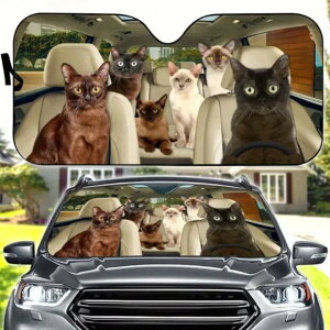  yz TVF[h L A lR ˂ CAT cat Lg o[~[Y ʔ 킢  ԑ悯  Ăh~ Lv Ԓ tgKX ՌfM O΍ UVJbg 