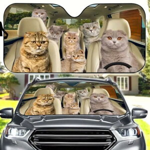  yz TVF[h XReBbVtH[h A L lR ˂ CAT cat Lg ʔ 킢  ԑ悯  Ăh~ Lv Ԓ tgKX ՌfM O