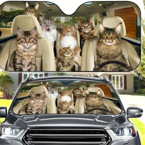  TVF[h CN[ D L lR ˂ CAT cat Lg ʔ 킢  ԑ悯  Ăh~ Lv Ԓ tgKX ՌfM O΍ UVJbg ȒPt