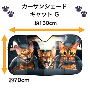yzTVF[h Lbg H ^r[Lbg L L ˂ cat CAT ʔ 킢  悯  tgKX ՌfM O΍ UVJbg ȒPt J[pi ֗ I[