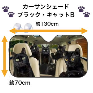 yzTVF[h ubNLbg B L NlR L L ˂ cat CAT {xC ʔ 킢  悯  tgKX ՌfM O΍ UVJbg ȒPt J